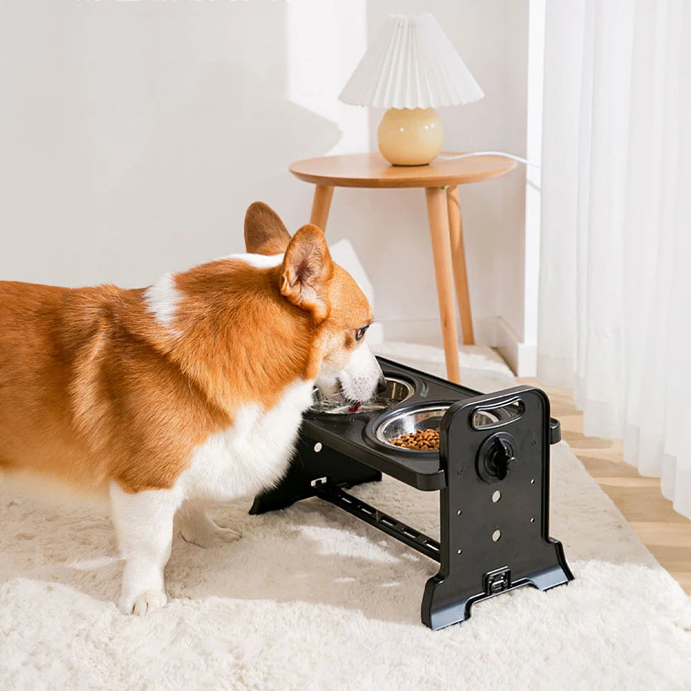 Level Adjustable Elevated Dog Feeder with 2 Stainless Steel Bowls